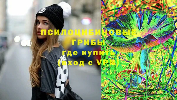 гидропоника Богданович
