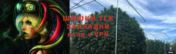 гидропоника Богданович
