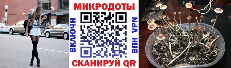 Галлюциногенные грибы Cubensis  Кисловодск 